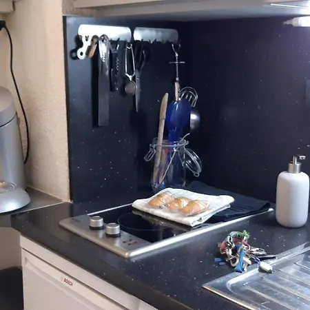 Apartment Aux Pieds Des Pistes Roche Beranger
