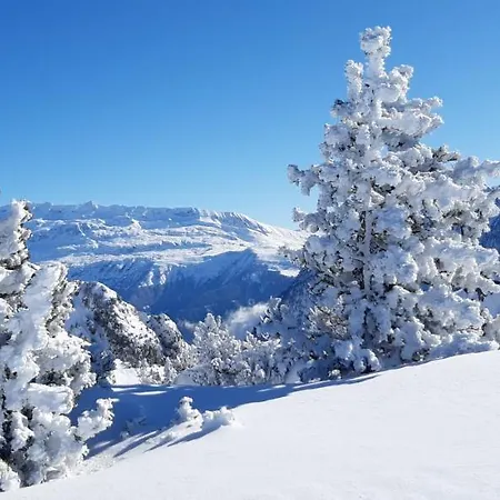 Apartment Aux Pieds Des Pistes Roche Beranger *